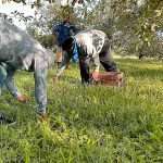 SlaughterOrchardCideryGroundHarvest-2-feat