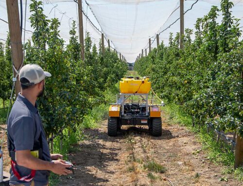 Robot demonstrates spot-on fertilizer application for orchards