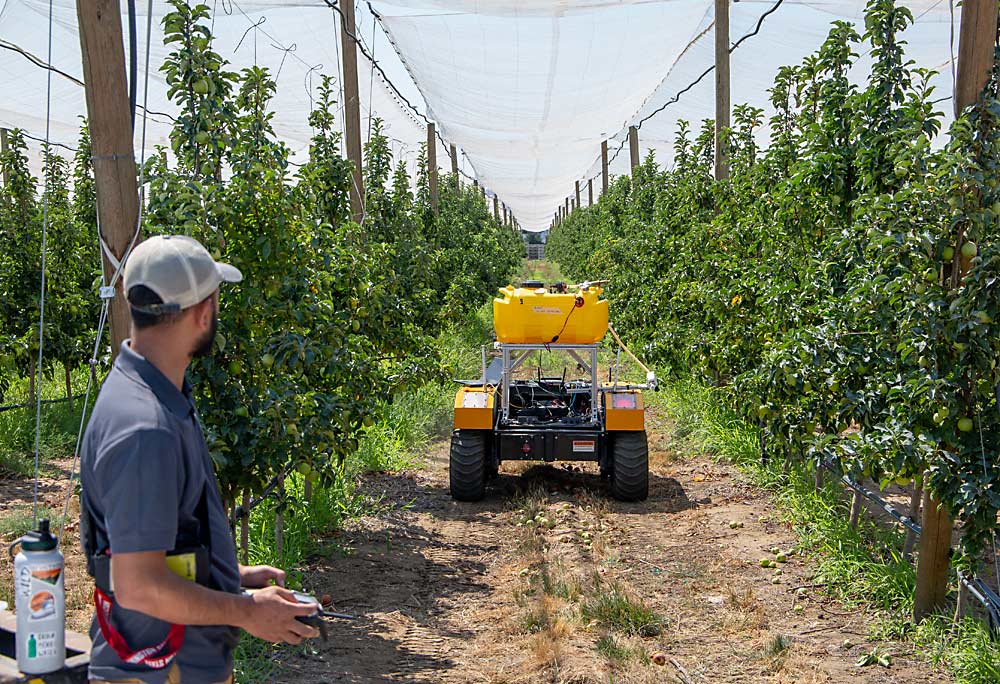 Washington State University research assistant Achyut Paudel remotely pilots the applicator at the Smart Orchard Field Day. (Ross Courtney/Good Fruit Grower)