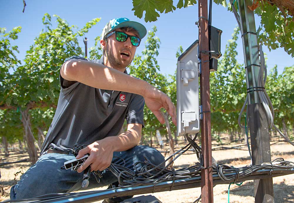 Jake Schrader, shown during a 2023 vineyard technology field day, has been hired by the U.S. Department of Agriculture Agricultural Research Service in a newly created precision viticulture role, stationed at the Washington State University Irrigated Agriculture Research and Extension Center near Prosser. (Ross Courtney/Good Fruit Grower)