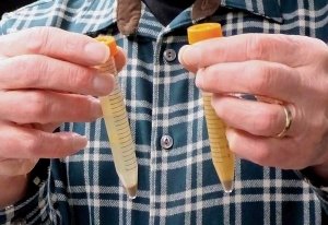 After giving two tubes of soil and water a gentle shake, Michigan State University professor and researcher George Bird compares how particles dissolve and how quickly the water begins to clear. This is a measure of water-stable aggregates, which he says is an especially good indicator of soil health. (Leslie Mertz/ for Good Fruit Grower)