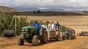 The International Fruit Tree Association toured Dutoit Agri’s orchards in the mountainous Koue Bokkeveld region of South Africa on Dec. 6 to learn about how the company is adapting to more efficient plantings and shade netting to reduce sunburn. (Kate Prengaman/Good Fruit Grower)