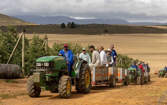 The International Fruit Tree Association toured Dutoit Agri’s orchards in the mountainous Koue Bokkeveld region of South Africa on Dec. 6 to learn about how the company is adapting to more efficient plantings and shade netting to reduce sunburn. (Kate Prengaman/Good Fruit Grower)