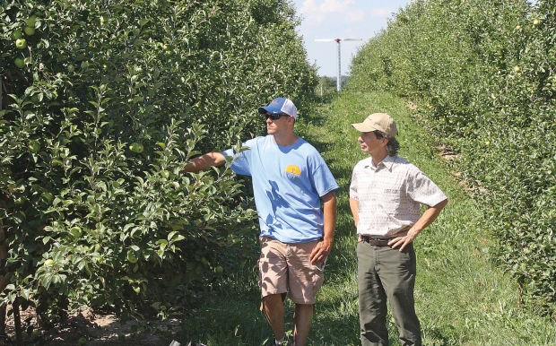 Randy Beaudry outlined the storage protocols he has developed for maintaining Honeycrisp quality. He spoke to growers in orchard operated by Joe, Al, Dan, and Ryan Dietrich near Conklin, Michigan. He and Dan look over the developing Honeycrisp crop. <b>(Richard Lehnert/Good Fruit Grower)</b>