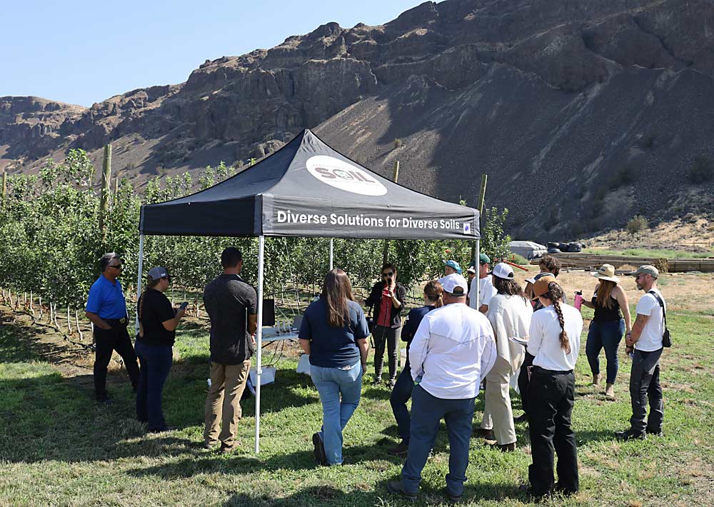 At the soil health station, attendees listened as Tracey Somera, a research plant pathologist with the U.S. Department of Agriculture, discussed nematodes’ role in replant disease during Washington State University’s tree fruit research field day in Rock Island on Aug. 6. (Kate Prengaman/Good Fruit Grower)