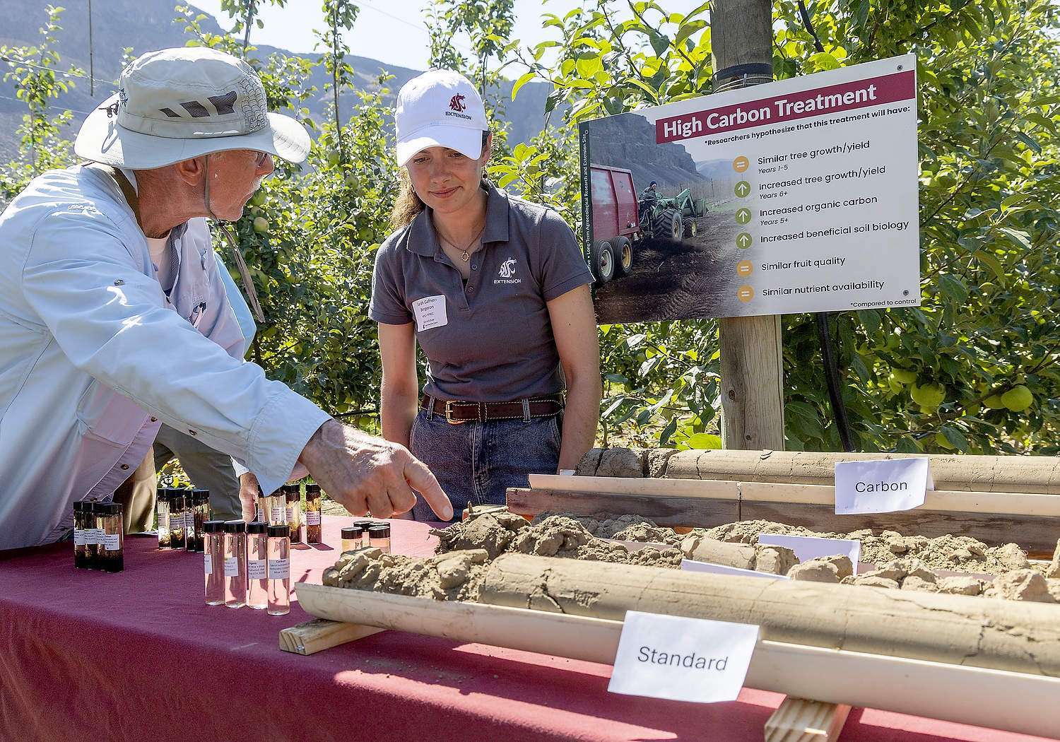 Soil health researcher Sarah Gafner-Bergeron, right, discusses the soil cores from different treatments with David Granatstein, professor emeritus of sustainable agriculture at Washington State University during a field day at WSU’s Sunrise Research Orchard on July 24, 2025. Granatstein noted that core from the mulch treatment shows the soil biome breaking down the mulch and structurally changing the top layer of soil. (Kate Prengaman/Good Fruit Grower)