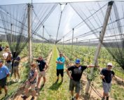 Concrete posts, breakaway netting clips and assorted hardware from Italy were one of the highlights during the 2019 International Fruit Tree Association summer tour in Meaford, Ontario on July 23. (TJ Mullinax/Good Fruit Grower)