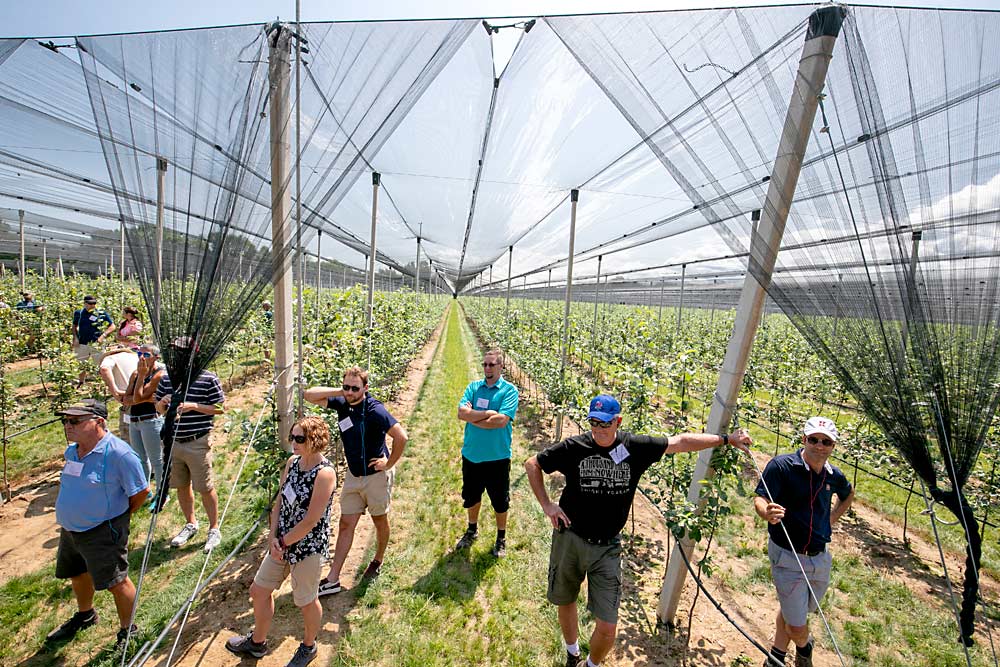 Concrete posts, breakaway netting clips and assorted hardware from Italy were one of the highlights during the 2019 International Fruit Tree Association summer tour in Meaford, Ontario on July 23. (TJ Mullinax/Good Fruit Grower)