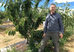 Courtesy Dahle OrchardsGrower Tim Dahle of The Dalles, Oregon, says there are advantages that come from having test plots in his orchards. “We do it to learn and develop best practices — that’s the No. 1 thing. And there is some value in being the first to learn some of these practices.”
