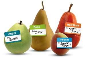 New marketing materials debuted by USA Pears introduce consumers to the different flavor profiles pears offer, encouraging them to think of the fruit as a healthy snack. (Courtesy USA Pears)