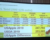 The 2019 USApple estimate is 247.7 million bushels, slightly smaller than the USDA estimate made earlier in August, as shown in this slide from day two of the 2019 Apple Crop Outlook & Marketing Conference on August 23 in Chicago, Illinois. (Matt Milkovich/Good Fruit Grower)