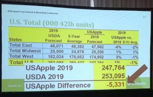 The 2019 USApple estimate is 247.7 million bushels, slightly smaller than the USDA estimate made earlier in August, as shown in this slide from day two of the 2019 Apple Crop Outlook & Marketing Conference on August 23 in Chicago, Illinois. (Matt Milkovich/Good Fruit Grower)