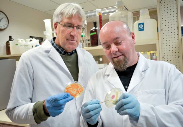 Entomologist Alan Knight (left), and technician Ben Zeigler, is doing research using baker’s yeast and sugar to make codling moth controls more effective. <b>(Courtesy USDA-ARS)</b>