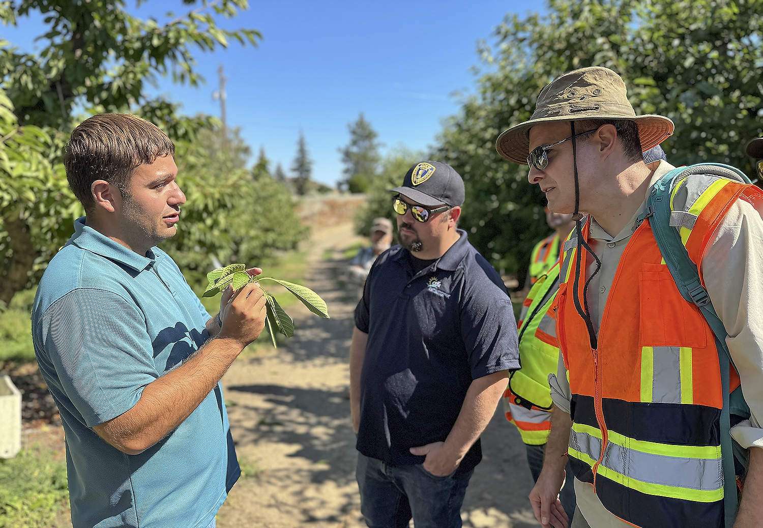 From left, Alex Capi, Nicholas Tomasello and Kyle Beucke touring a cherry orchard in Wenatchee, Washington