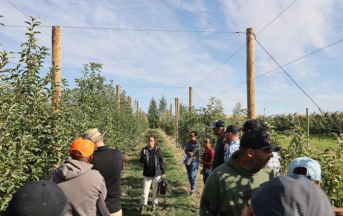 Washington State University extension specialist Bernardita Sallato, center, provides a preharvest tour on Sept. 17 through a demonstration block at the Roza Research Farm in Prosser, where WSU’s new variety, WA 64, is planted on different rootstocks and training systems to help growers get to know how it performs. (Kate Prengaman/Good Fruit Grower)