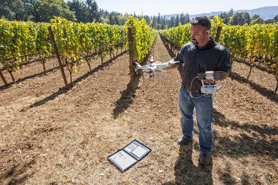 Chad Vargas holds his DJI Phantom 4 drone above a color and light registration book to help calibrate the multispectral camera before flying and recording Pinot Noir grapes in Newberg, Oregon.<b> (TJ Mullinax/Good Fruit Grower)</b>