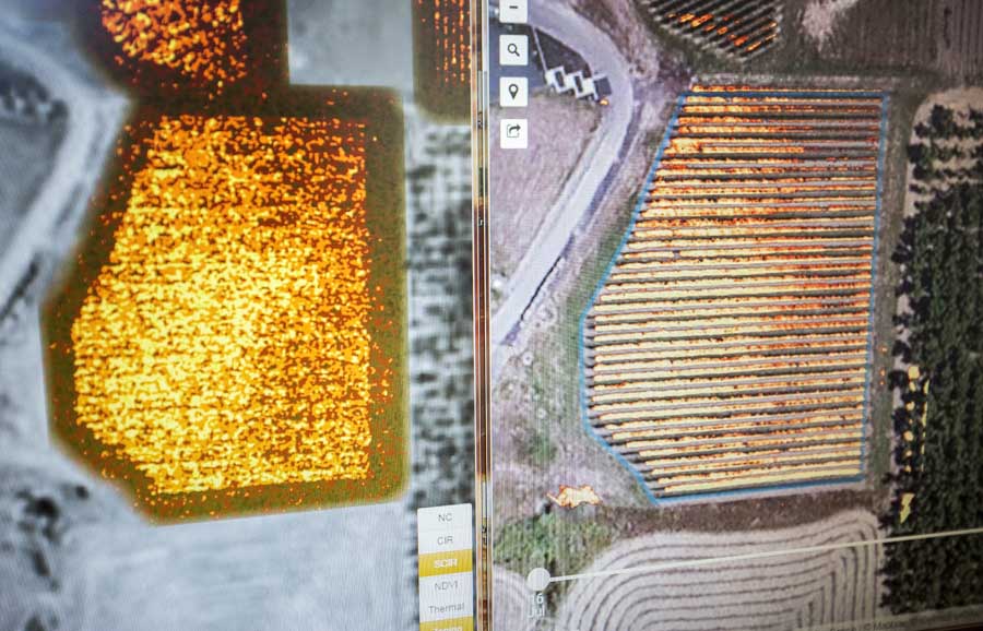 Chad Vargas shows the differences between images captured from a fixed wing aircraft, left, and from his DJI Phantom drone using the MicaSense camera, at right. These images were captured at the same location at the same time period, showing foliage density in the vineyard. Because the drone image data is much higher resolution than a fixed wing aircraft, Vargas says it helps him better manage his vineyards. <b>(TJ Mullinax/Good Fruit Grower)</b>
