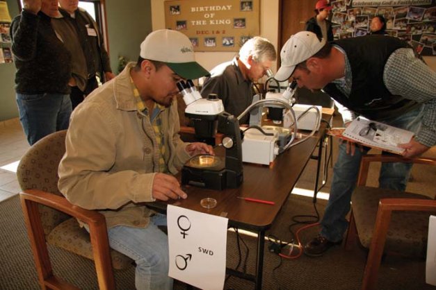 Grape growers learn to identify spotted wing drosophila at a Washington State Grape Society meeting.