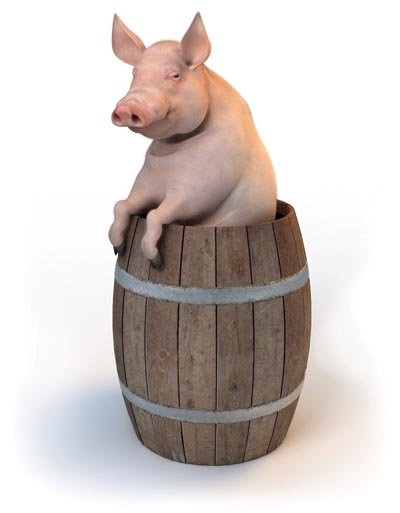 Earmarks are often considered equivalent to pork barrel legislation, but the two are not necessarily the same.
