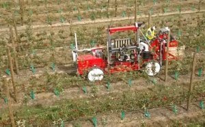 Seen in this image from Abundant Robotics’ announcement video, the latest version of its apple harvester works a commercial apple block in New Zealand. (Courtesy Abundant Robotics)