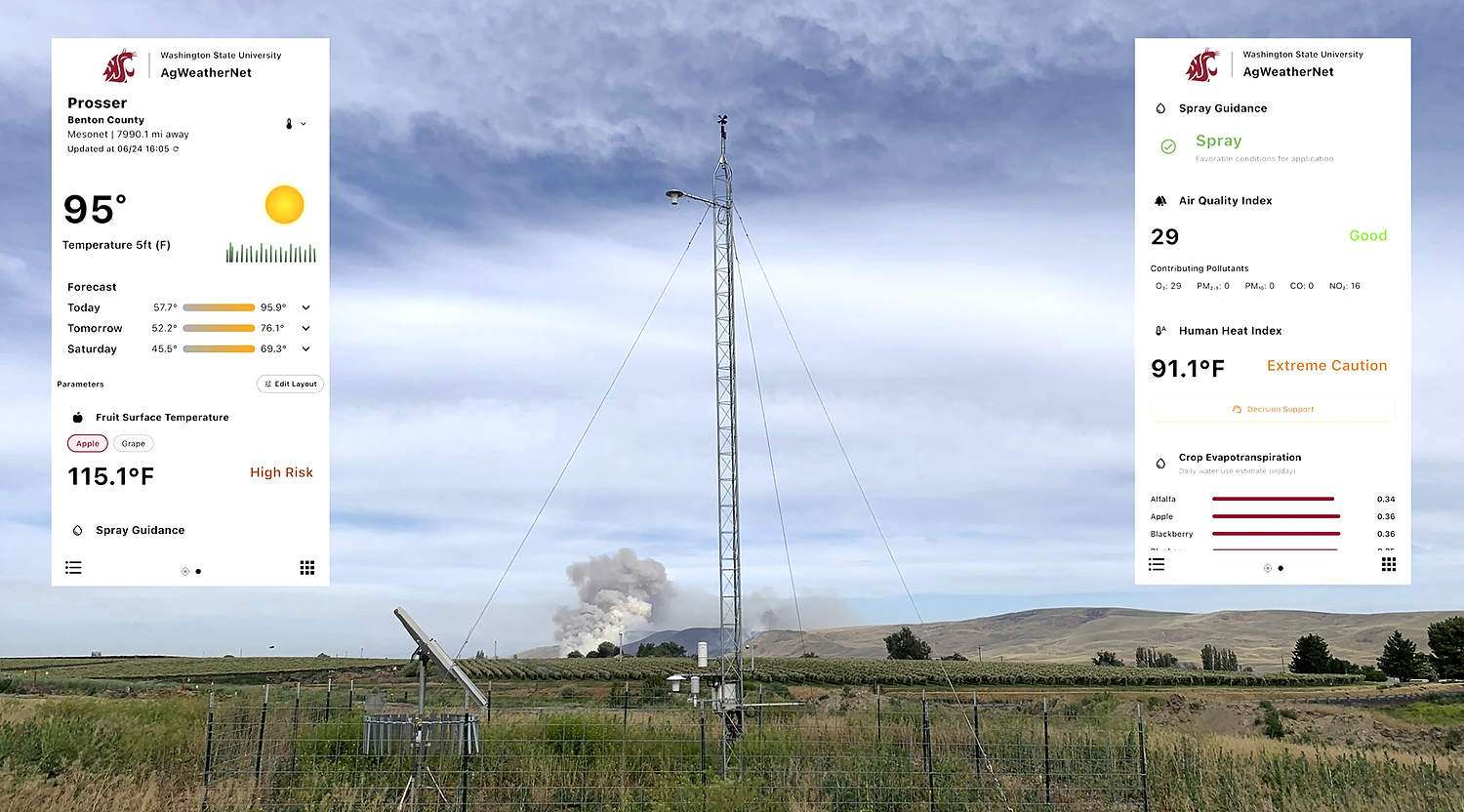 An illustration of AgWeatherNet data on a phone app