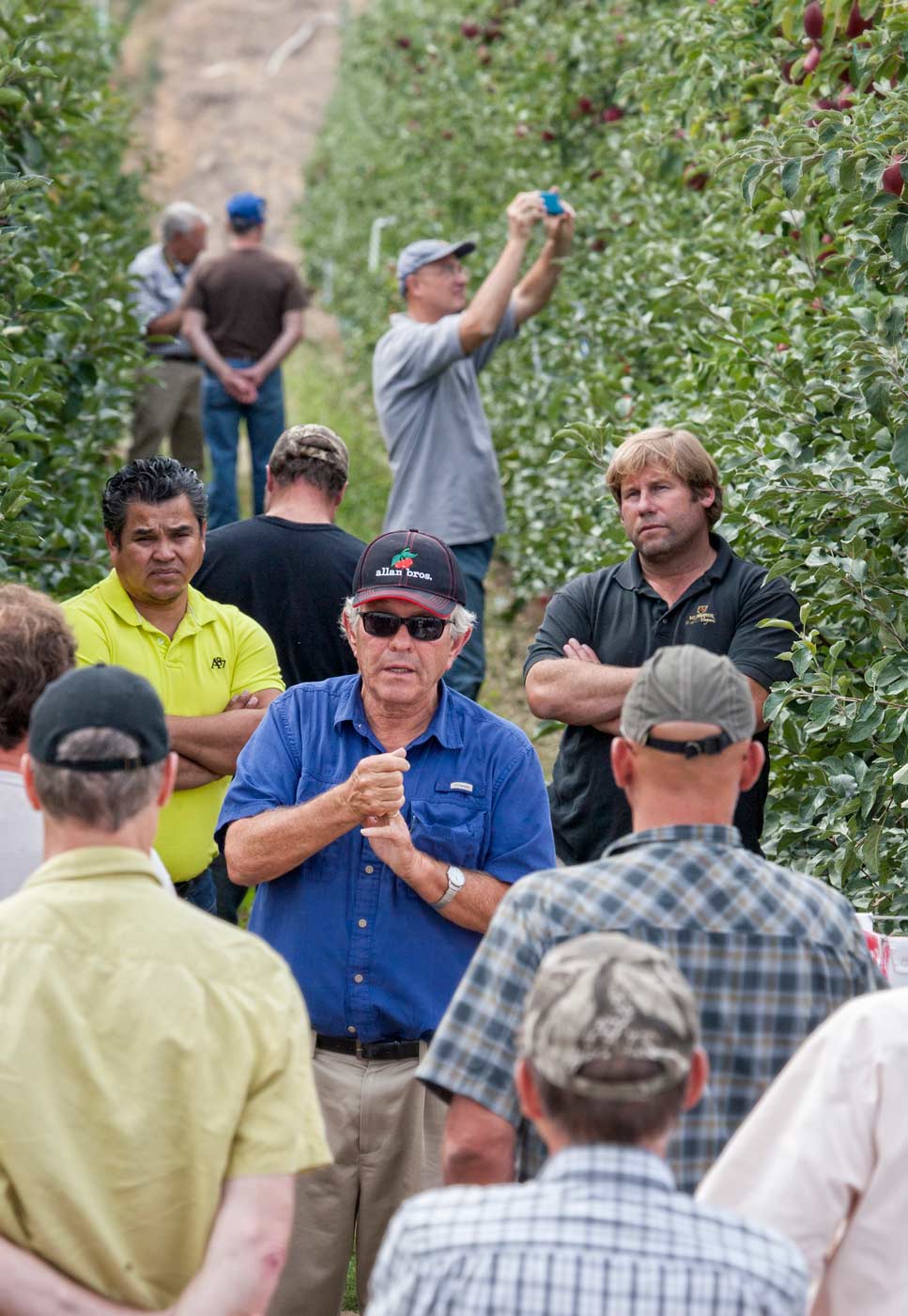 Dave Allan talks about WA 38 during a preharvest preview of the variety in Prosser, Washington, in 2014. Allan Bros. helped pioneer commercial test plantings of WSU’s newest variety, now known by the brand name Cosmic Crisp.<b>(TJ Mullinax/Good Fruit Grower)</b>