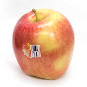 The U.S. patent on the Ambrosia apple, the popular Canadian variety known for its sweet flavor and blush color, expires this month, meaning nurseries will start propagating it for all growers later this summer. <b>(TJ Mullinax/Good Fruit Grower)</b>