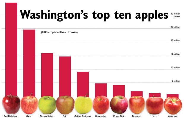 Washington’s top ten apples. 2013 crop in millions of boxes. Source: Washington State Tree Fruit Association(Jared Johnson/Good Fruit Grower illustration)