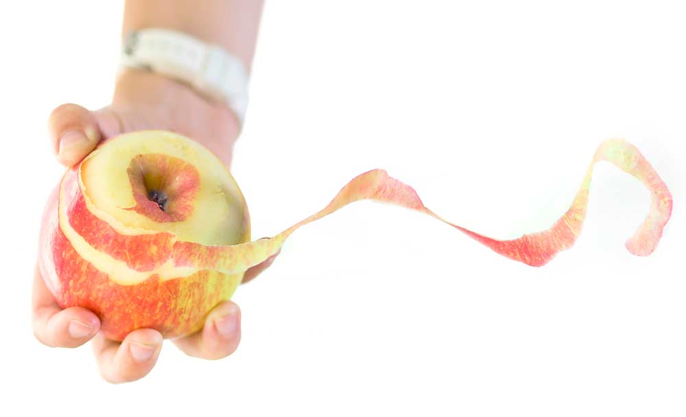 Measuring the ratio of nitrogen to calcium in Honeycrisp peels provides a key step in predicting whether apples will develop bitter bit in storage. <b>(Photo illustration by TJ Mullinax/Good Fruit Grower)</b>