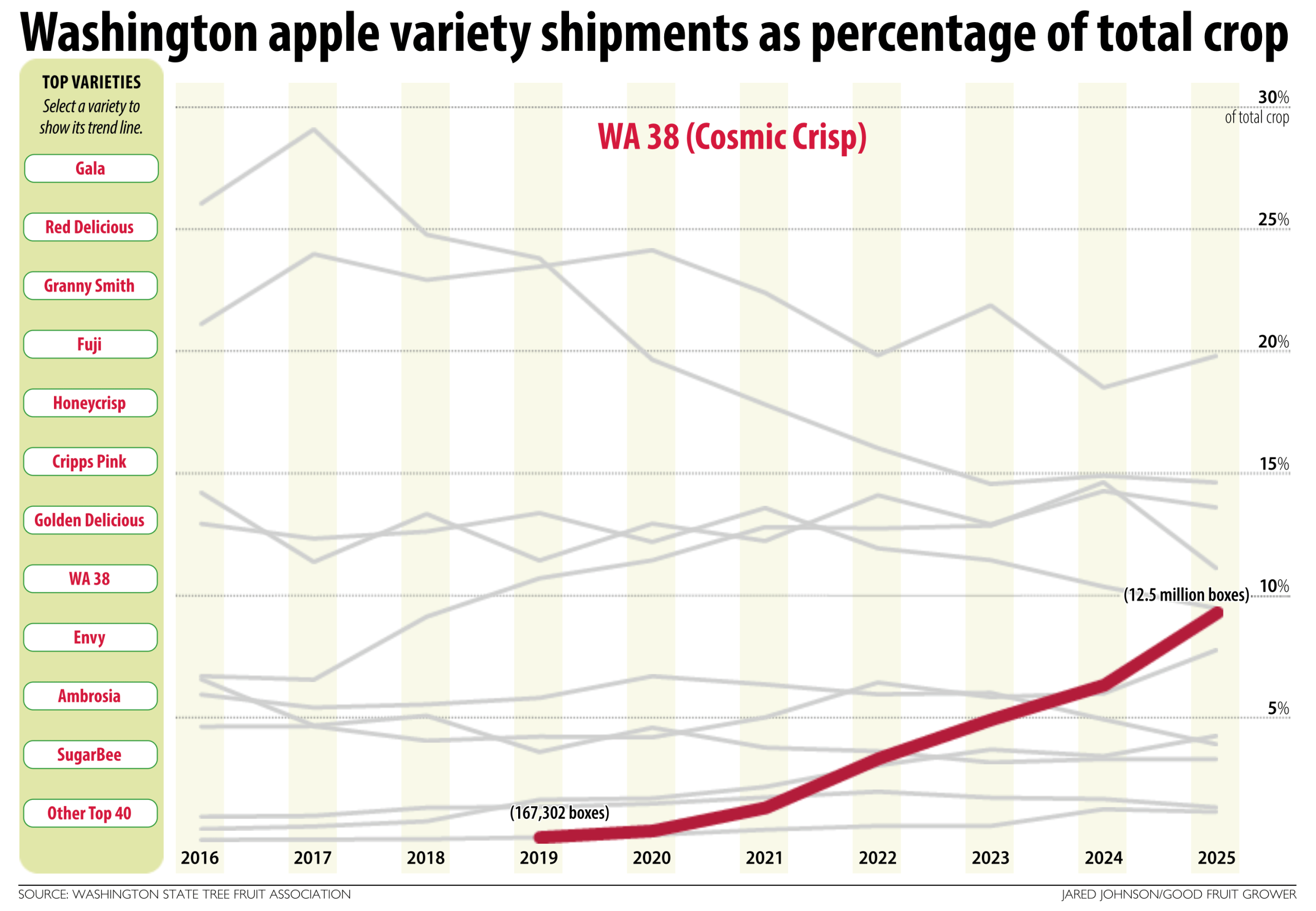 A chart showing the volume of Cosmic Crisp shipped in Washington from 2019 to 2025