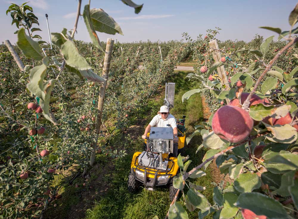 Kurt Scudder, FarmCloud imaging scientist, drives down a row of Fuji apples on an ATV loaded with camera equipment used to measure crop loads in Washington’s Columbia Basin before harvest in September. The equipment, developed by Intelligent Fruit Vision, was being evaluated by FarmCloud, which hopes to provide it as a service to growers in the Pacific Northwest. <b>(TJ Mullinax/Good Fruit Grower)</b>