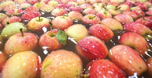 Apples from the 2015 harvest are washed and sanitized at a packing facility in Washington State.<b> (TJ Mullinax/Good Fruit Grower</b>