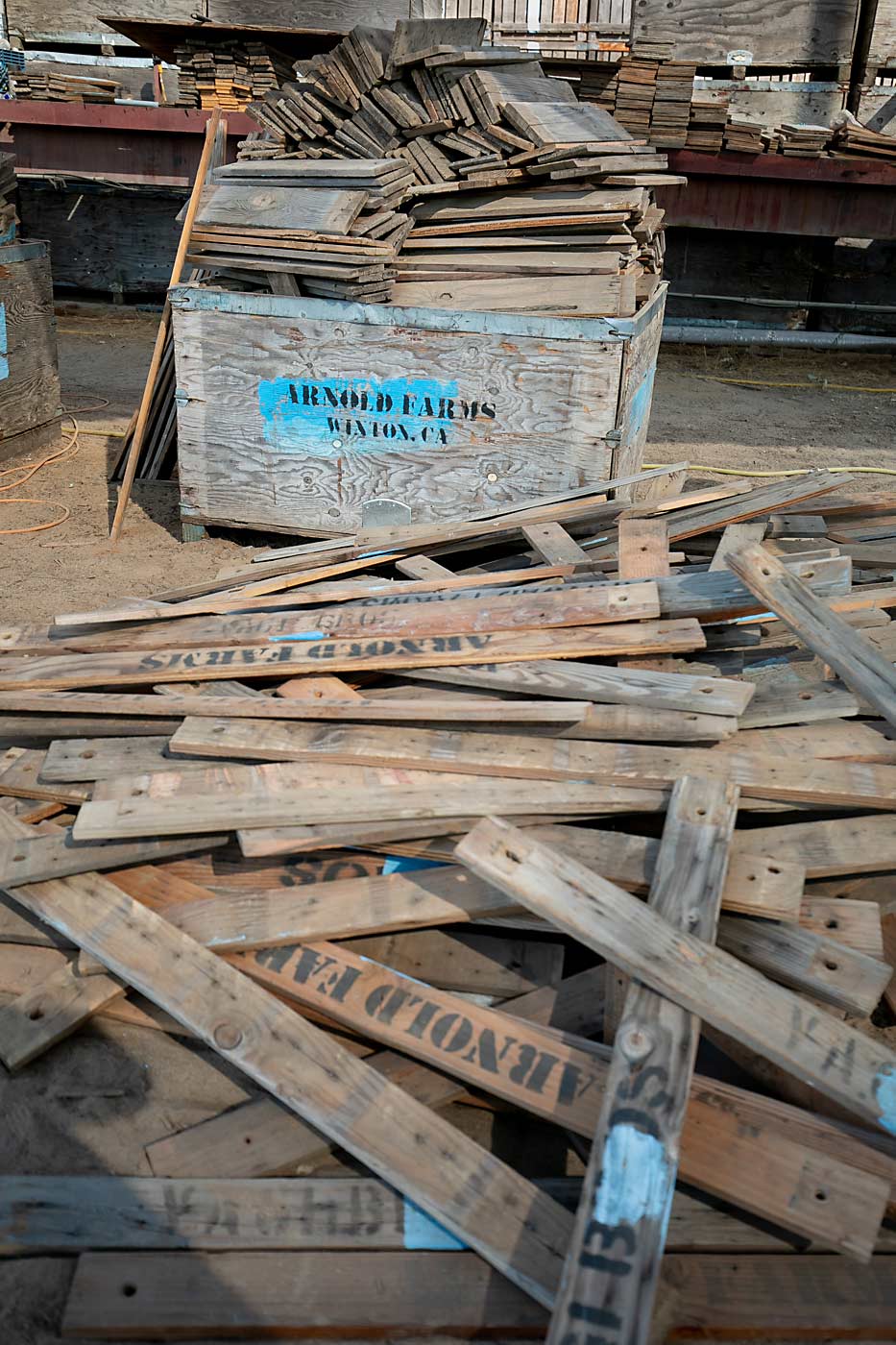 Arnold Farms rents and repairs bins for sweet potatoes and peaches, as a side hustle. They maintain about 50,000 bins, roughly 10 times what their small farm would use on its own. (TJ Mullinax/Good Fruit Grower)