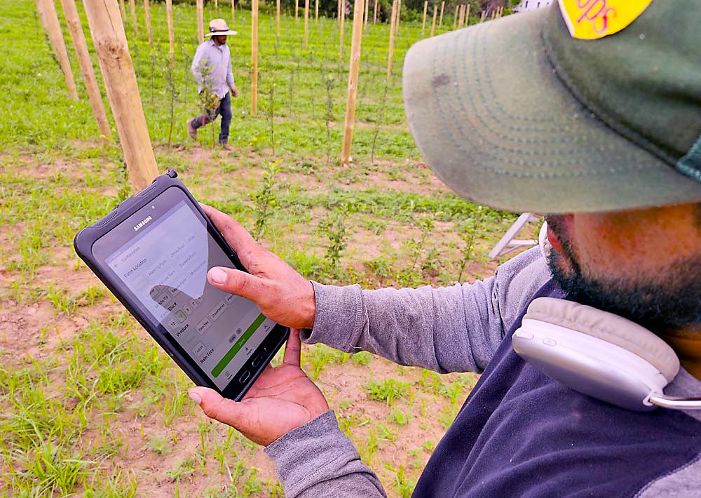 During a product demo, an orchard crew leader tests how Agri-TrakGO software can be used to manage employees. (Courtesy Agri-Trak)