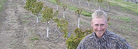 Oregon orchardist Marcus Morgan is amazed at the difference that five months makes in tree growth. The larger, more leafed Skeena cherry trees were planted in late fall; the smaller ones were planted in spring.