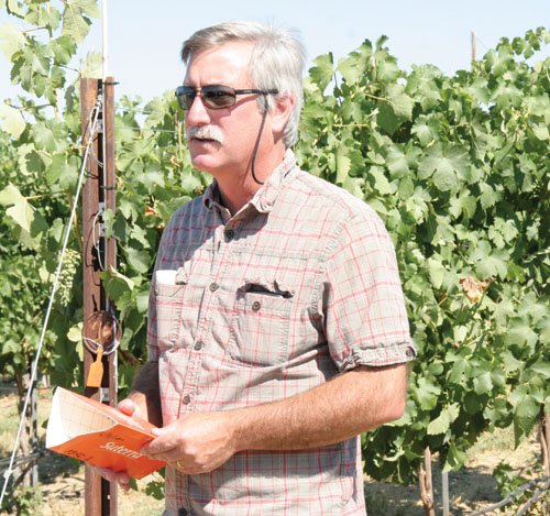 Doug Walsh, holding a mealybug pheromone trap, says that such traps have been used throughout the state to look for vine mealybug. Thus far, the destructive pest that's prevalent throughout California grape regions, has not been found in Washington.