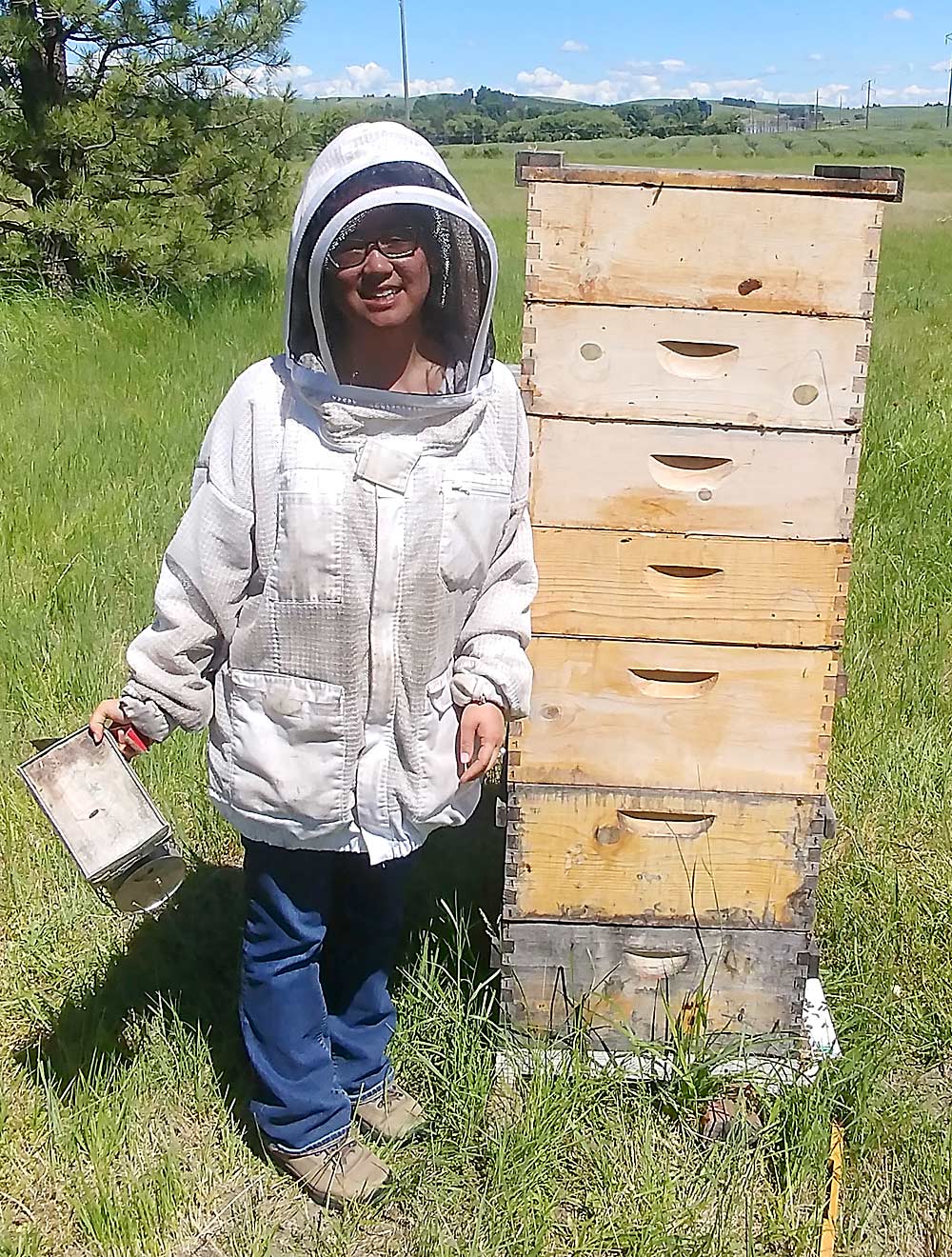 Researcher Jennifer Han checks on honeybee hives as part of her experiments using a fungal pathogen to kill the mite that’s plaguing honeybee hives around the country. (Courtesy Nick Naeger/Washington State University)