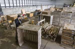 Washington Fruit Growers employees repair wooden bins