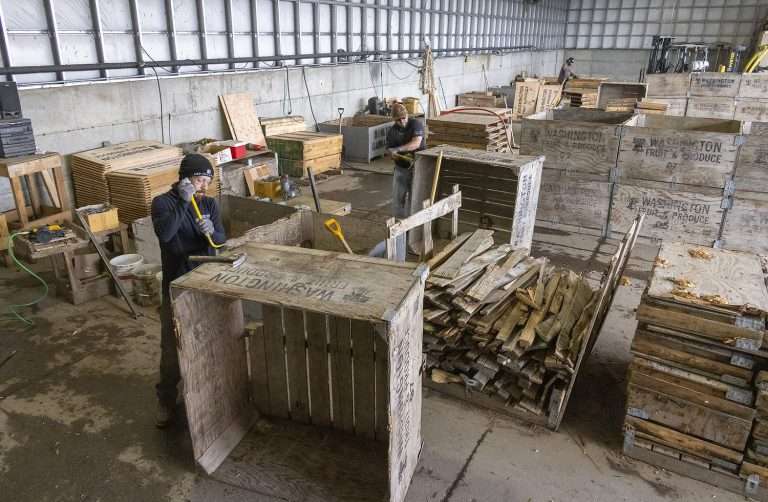 Washington Fruit Growers employees repair wooden bins