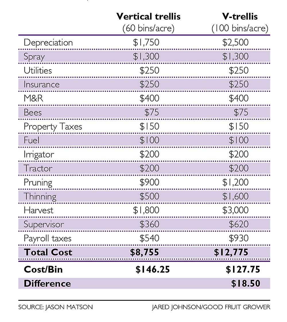 A breakdown of cost comparisons from grower Jason Matson shows that while the total per-acre cost of a V-trellis system is $4,000 more than a vertical system, the higher yield of 40 more bins on a V-trellis can save over $18 per bin.