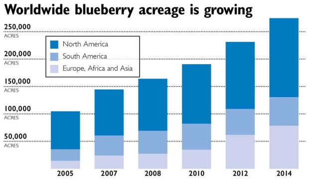 Source: U.S. Highbush Blueberry Council <b>(Jared Johnson/Good Fruit Grower illustration)</b>