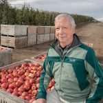 Longtime growers share a moment of reckoning on the road to resilience Bruce Allen and Koru apple harvest