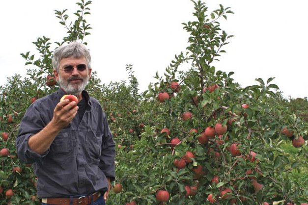 Mark Rice chose to go with Kiku, a high quality Fuji fruit strain that is easier to grow than Honeycrisp but can sell at a similar price.