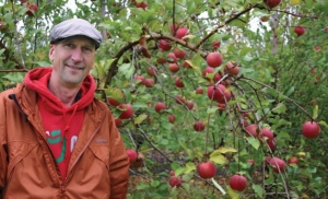 Bill Dodd stands next to the EverCrisp mother tree, which grows at the Doud family’s County Line Orchard near Wabash, Indiana. (Courtesy Bill Dodd.)