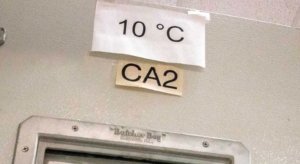 File photo of a CA door
