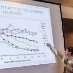 Connecting the dots for successful fruit storage caClinic2024-3741mm-1-feat
