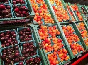 Cherries for sale in May at the Murray Family Farms store east of Bakersfield, California. (Photo by Steve Pastis)