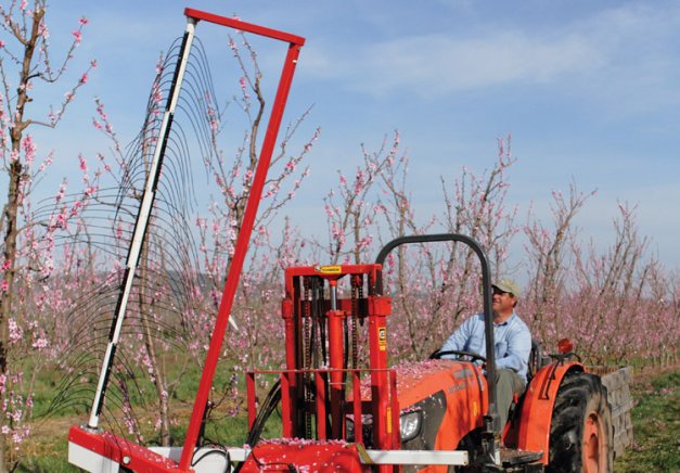 Jim Schupp (on tractor) took an active role in evaluating the Darwin blossom thinner and considers it a key to peach profitability. 