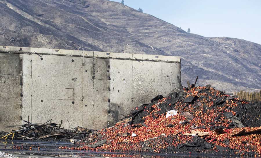 The Chelan complex fire burned a path of destruction through the community, scorching hillsides and packing, and warehouse facilities in east Chelan, Washington. <b>(TJ Mullinax/Good Fruit Grower)</b>