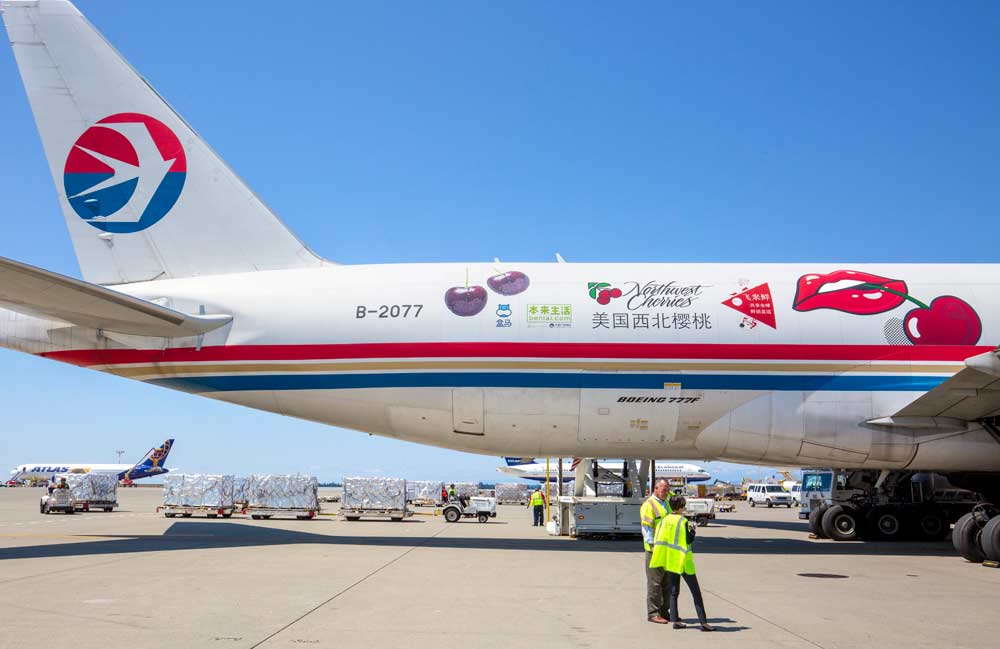 Ken Galka, air cargo operations manager for the Port of Seattle, speaks to Catherine Wang, North American general manager of China Cargo Airlines, while the China Express is loaded with fresh cherries from the Pacific Northwest at Sea–Tac International Airport in Seattle, Washington, on July 12, 2017. <b>(TJ Mullinax/Good Fruit Grower)</b>